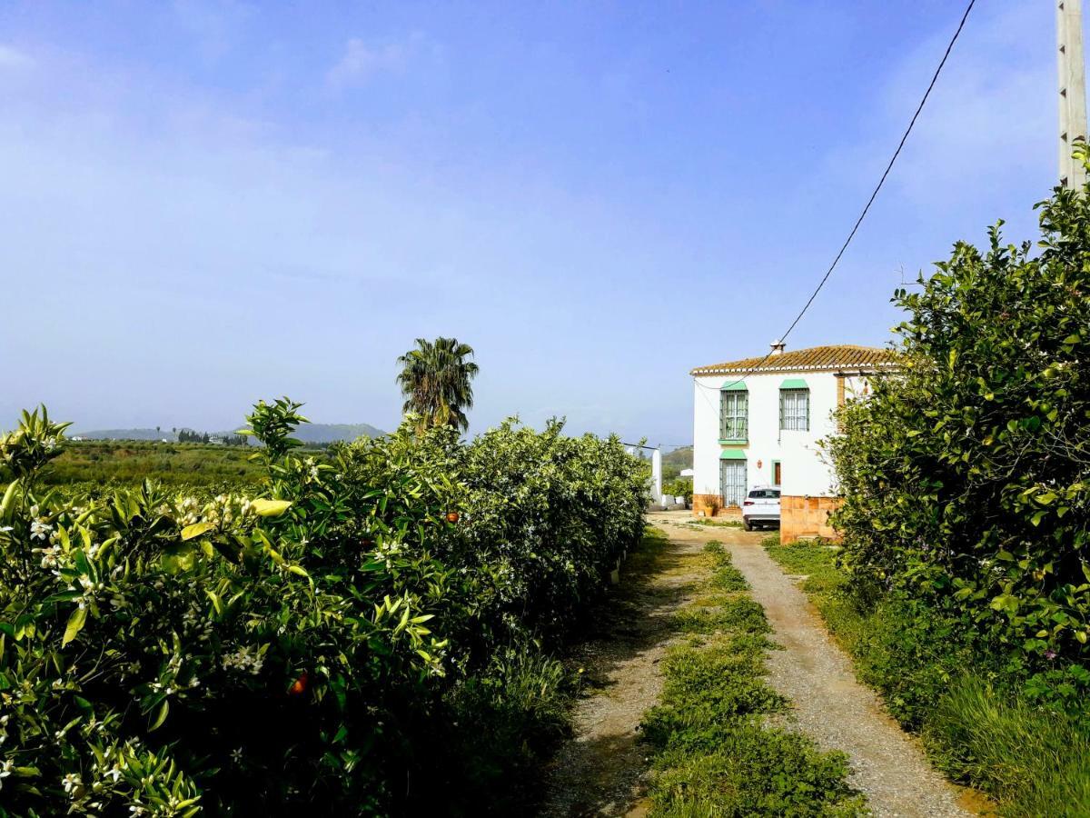 Casa Rural La Estrella Pizarra Kültér fotó