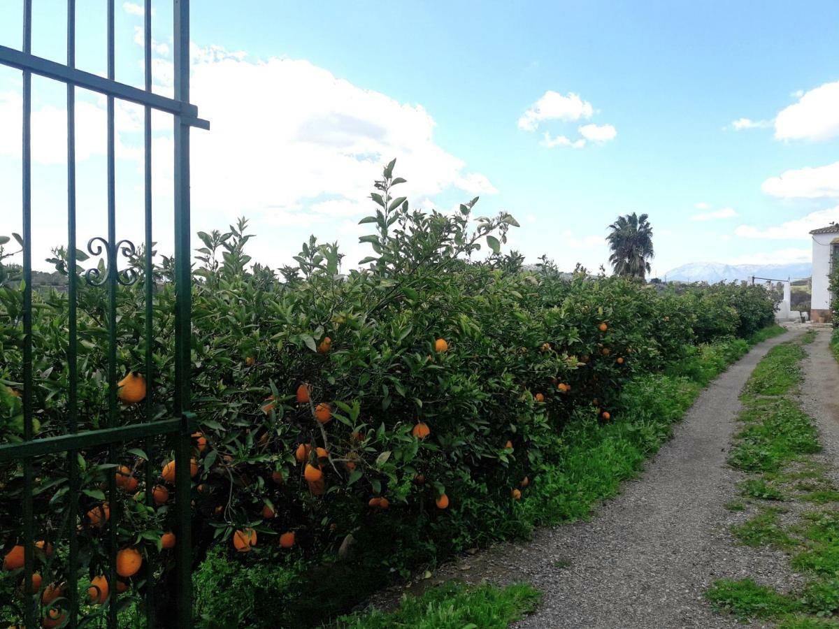Casa Rural La Estrella Pizarra Kültér fotó